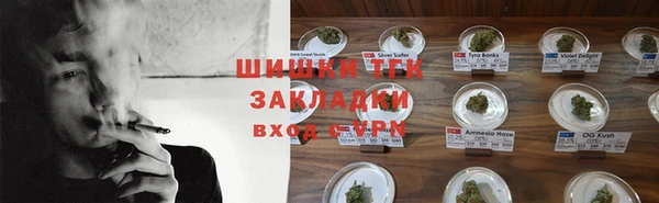 ПСИЛОЦИБИНОВЫЕ ГРИБЫ Нефтегорск