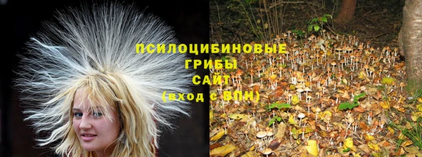 героин Новозыбков